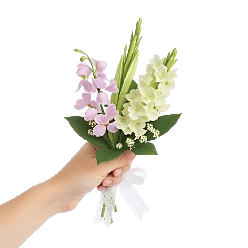 Ivory Blossom Radiance