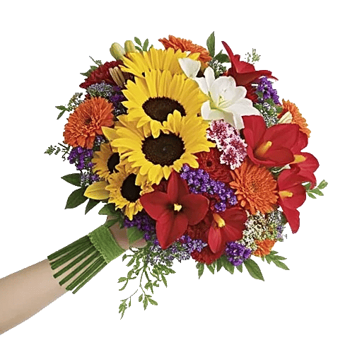 Radiant Bloom Cascade