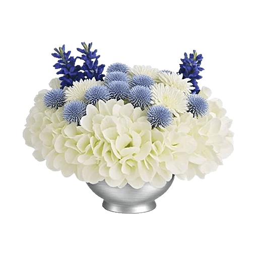 Sapphire Bloom Whisper