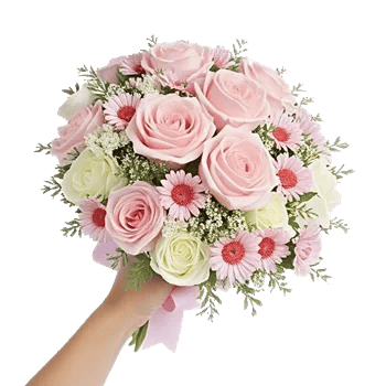 Pastel Pink Roses