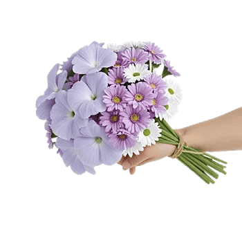 Morning Dew Blossoms