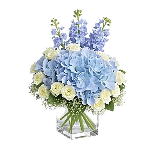 Azure Sky Blooms