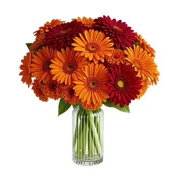 Petal Radiance Bliss