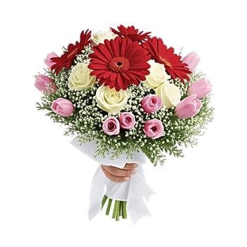 Crimson Rose Elegance