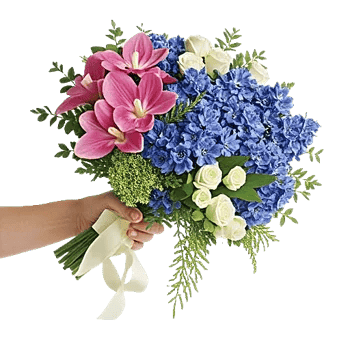 Orchid Bloom Cascade