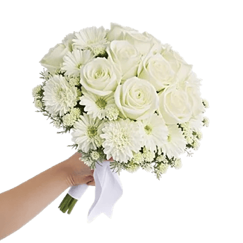 Ivory Garden Grace