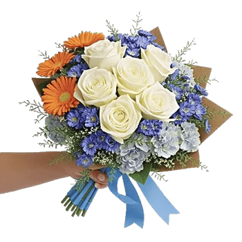 Serene Petal Harmony