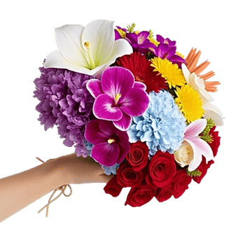 Blossom Harmony Display