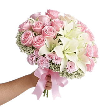 Pastel Pink Roses