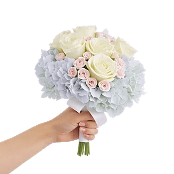 Serene Petal Harmony