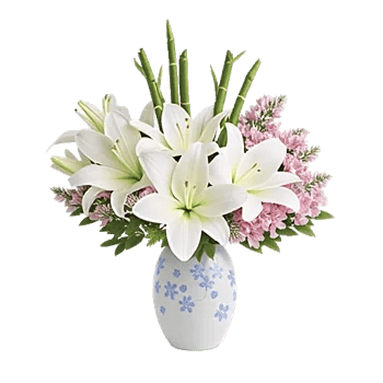 Ivory Blossom Radiance