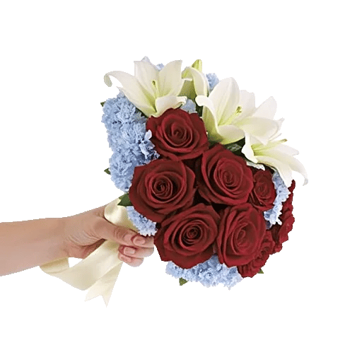 Crimson Rose Elegance