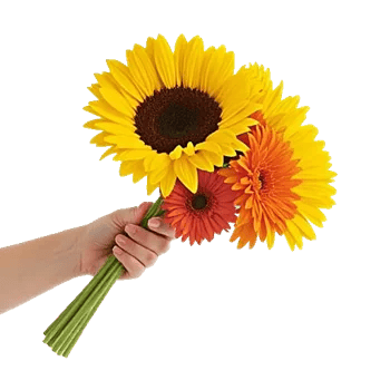 Amber Sunflower Glow