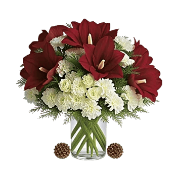 Crimson Blossom Harmony