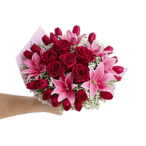 Crimson Rose Elegance