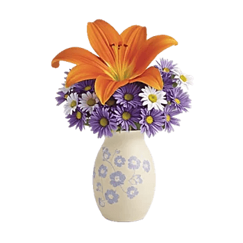 Ivory Blossom Radiance