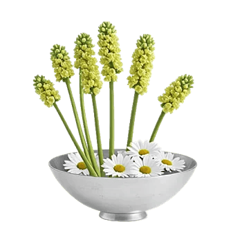 Ivory Blossom Radiance