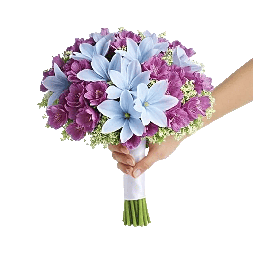 Blossom Petal Serenity