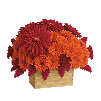 Crimson Blossom Harmony