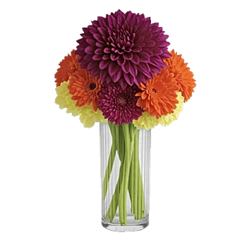 Petal Radiance Bliss