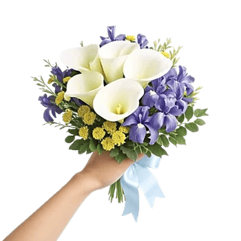 Elegant Calla Lilies