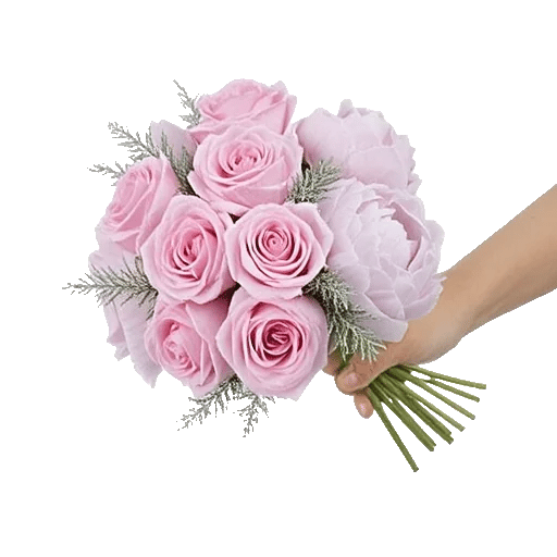Pastel Pink Roses
