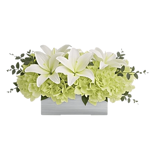 Graceful Lily Display