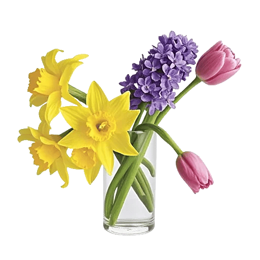 Ivory Blossom Radiance