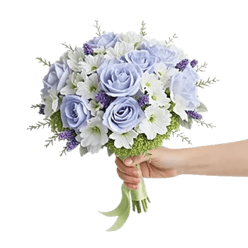 Serene Petal Harmony