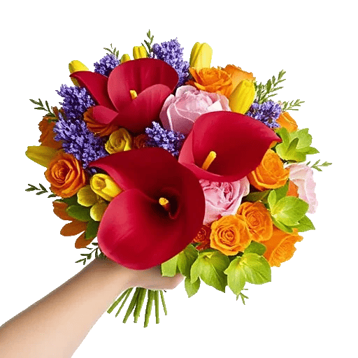 Elegant Calla Lilies