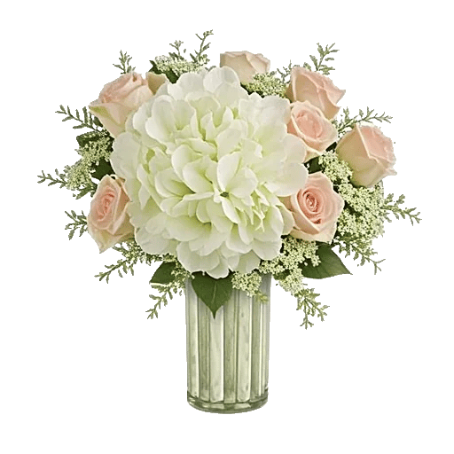 Ivory Blossom Radiance