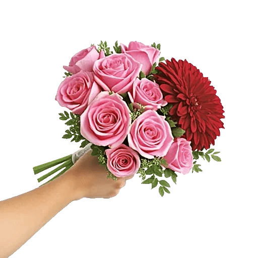 Blushing Rose Symphony