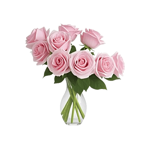 Blushing Rose Symphony