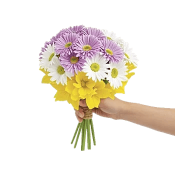 Blossom Harmony Display