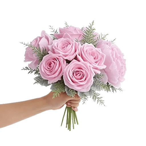 Pastel Pink Roses