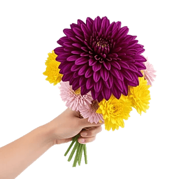 Radiant Bloom Cascade