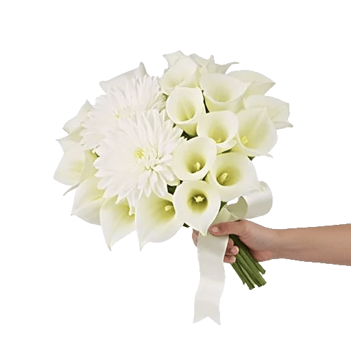 Elegant Calla Lilies