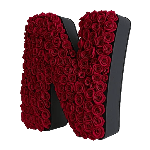 Crimson Rose Elegance