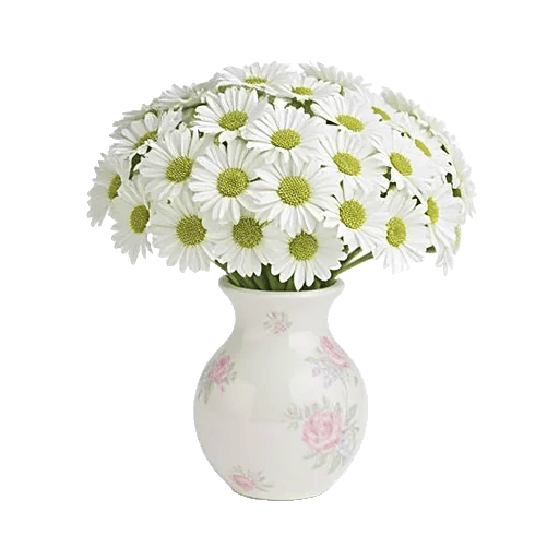 Ivory Blossom Radiance