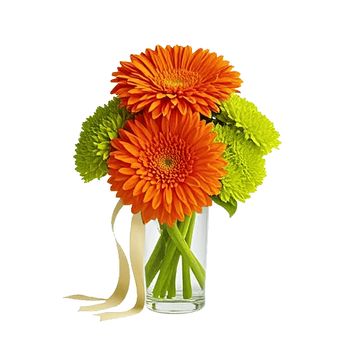 Orchid Bloom Cascade