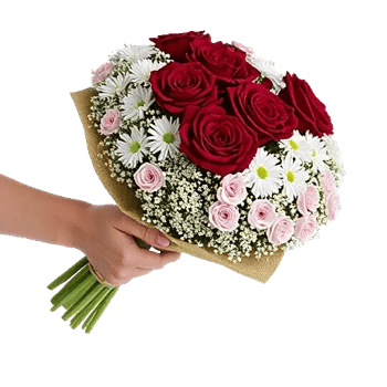 Crimson Rose Elegance
