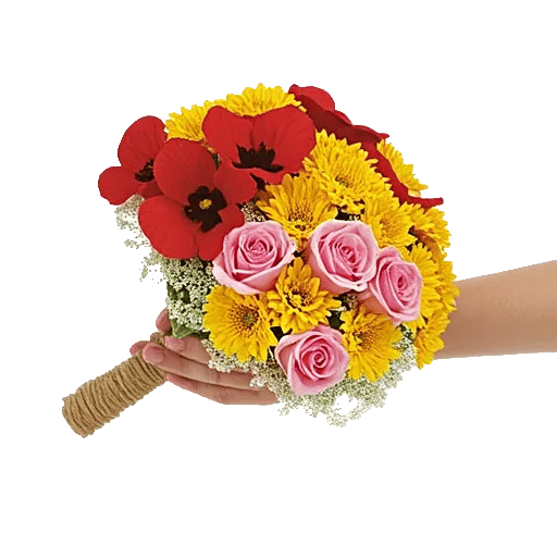 Blossom Harmony Display