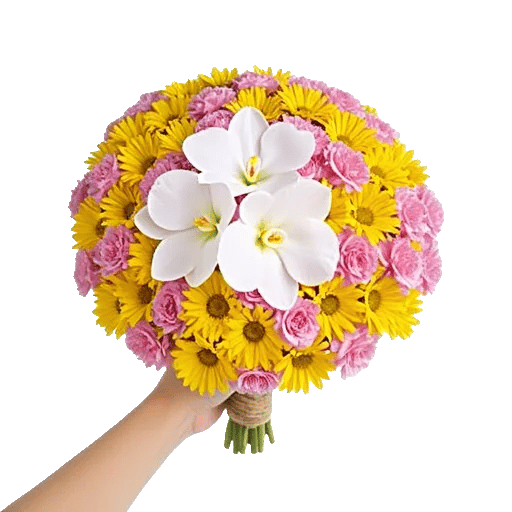 Minimalist White Orchids