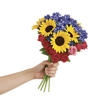 Blossom Petal Serenity