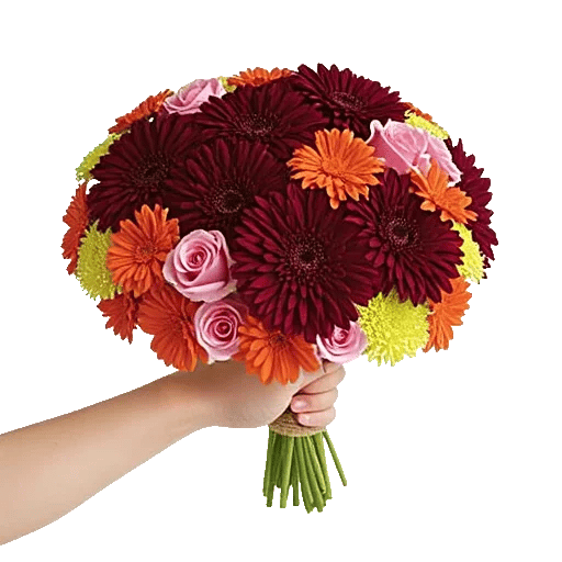 Crimson Blossom Harmony