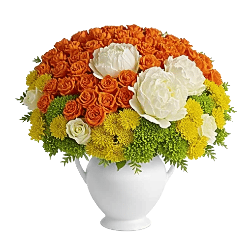 Petal Radiance Bliss