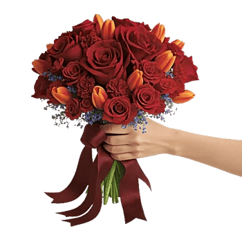 Crimson Rose Elegance