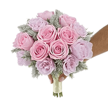 Pastel Pink Roses