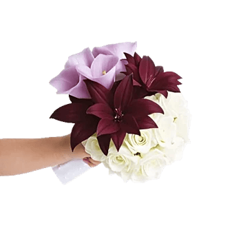 Elegant Calla Lilies