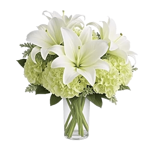 Ivory Blossom Radiance